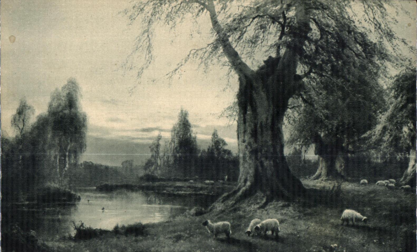 Paysage avec moutons — arbre imposant près d'un étang — Rembrandt-Gravure, n° 5118