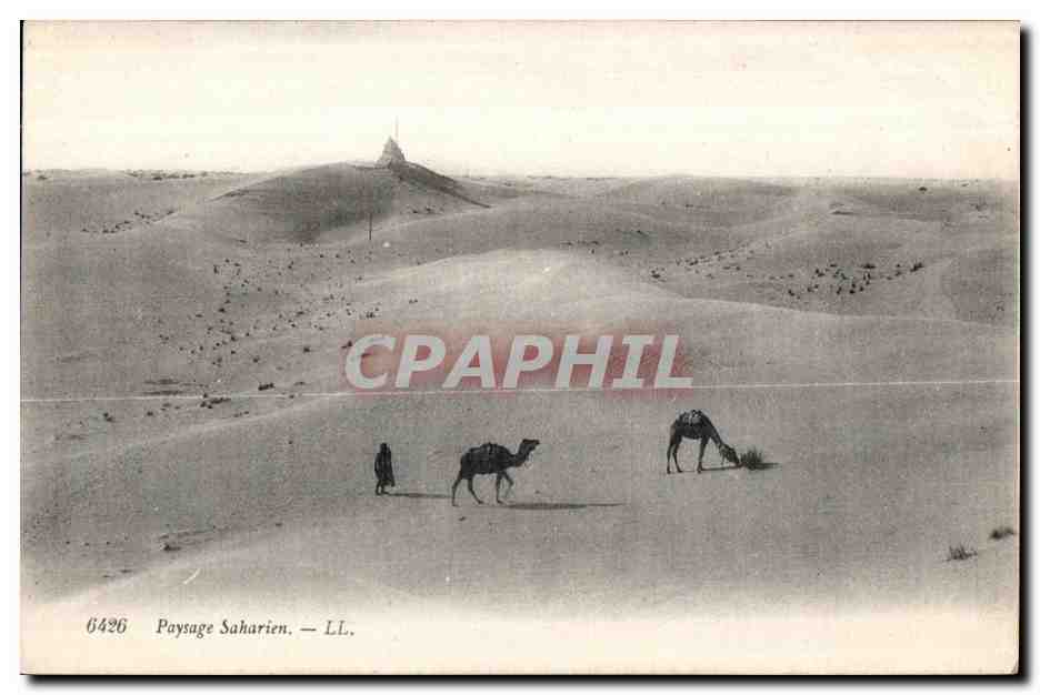 CPA Tunisie Paysage Saharien