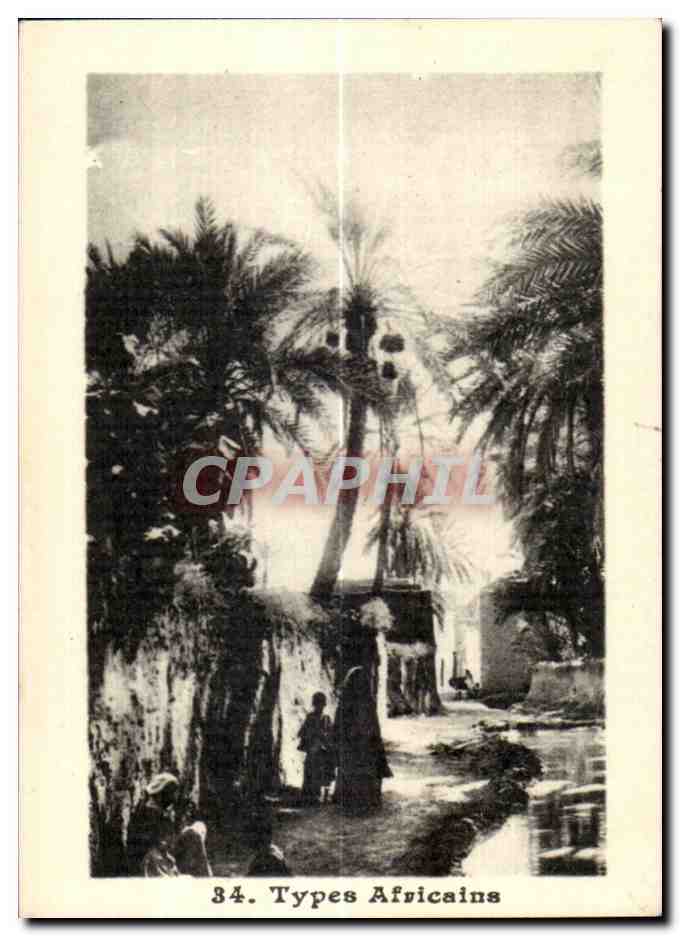 Scène africaine — palmiers et figures — Types Africains n°34