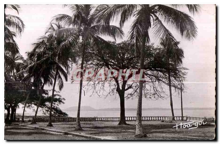 CPA Guinee Conakry La Corniche et l lle de kassa