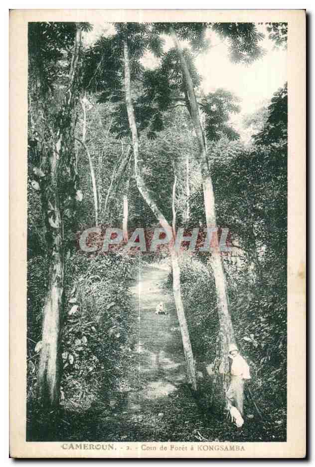 CPA Cameroun Coin de Foret a Kongsamba