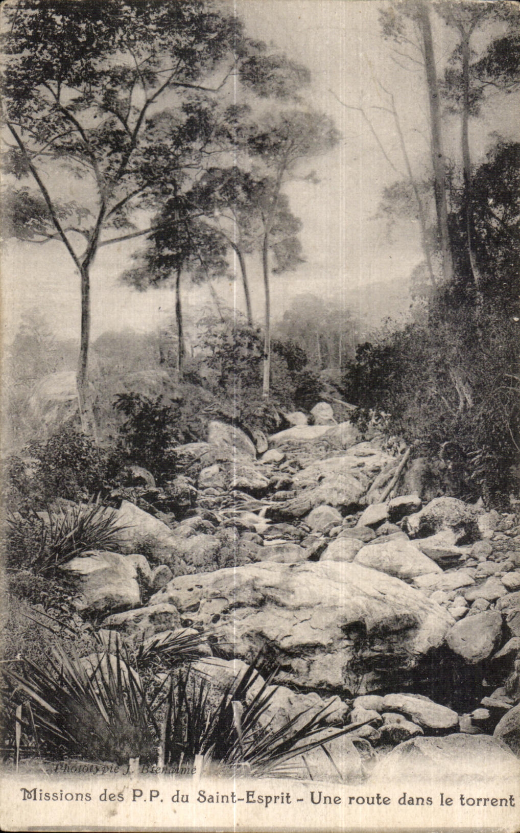Missions des P.P. du Saint-Esprit — Une route dans le torrent — Phototype J. Bronnime