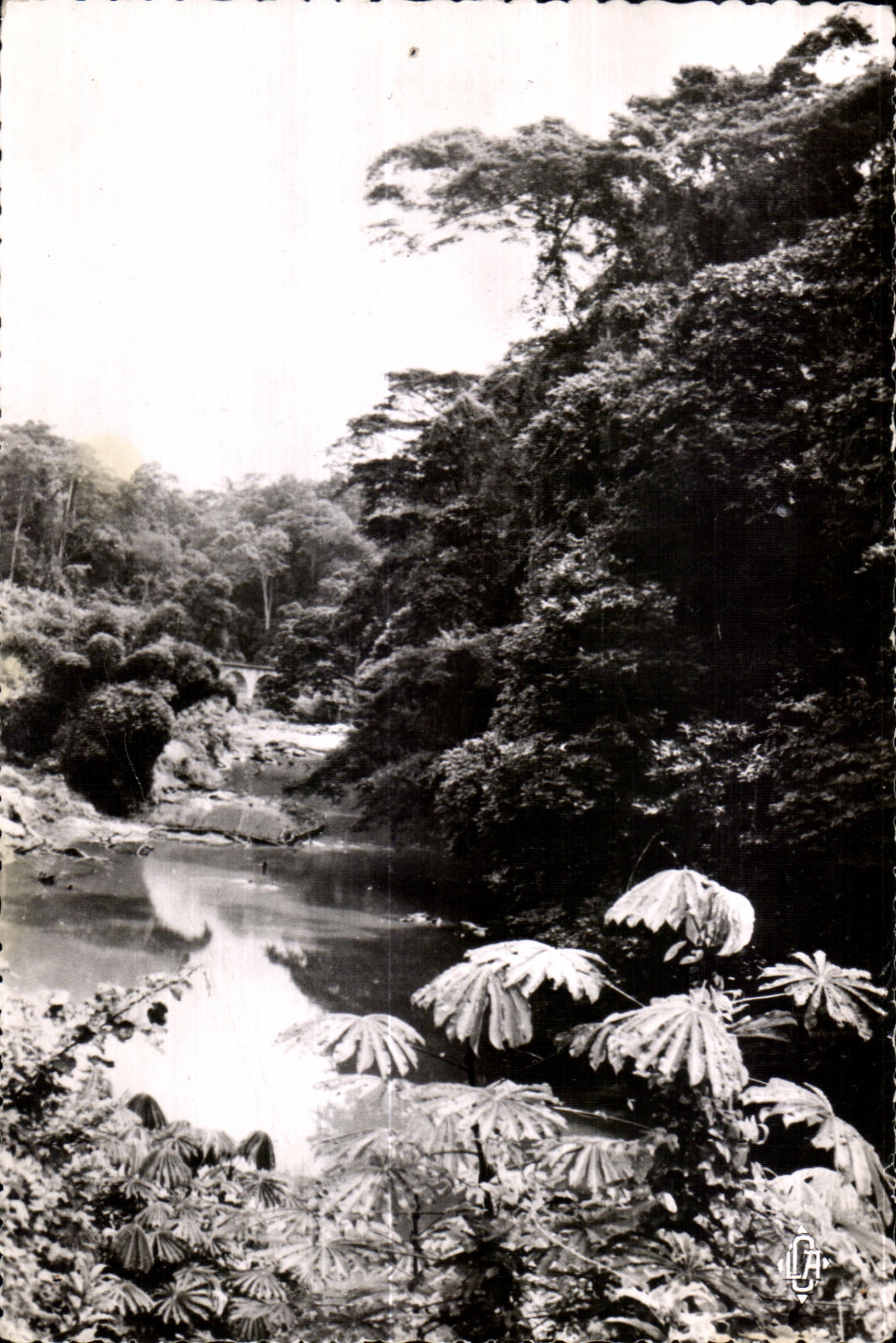 Mayombe — paysage du chemin de fer Congo-Océan — La Arte Africaine, n°36