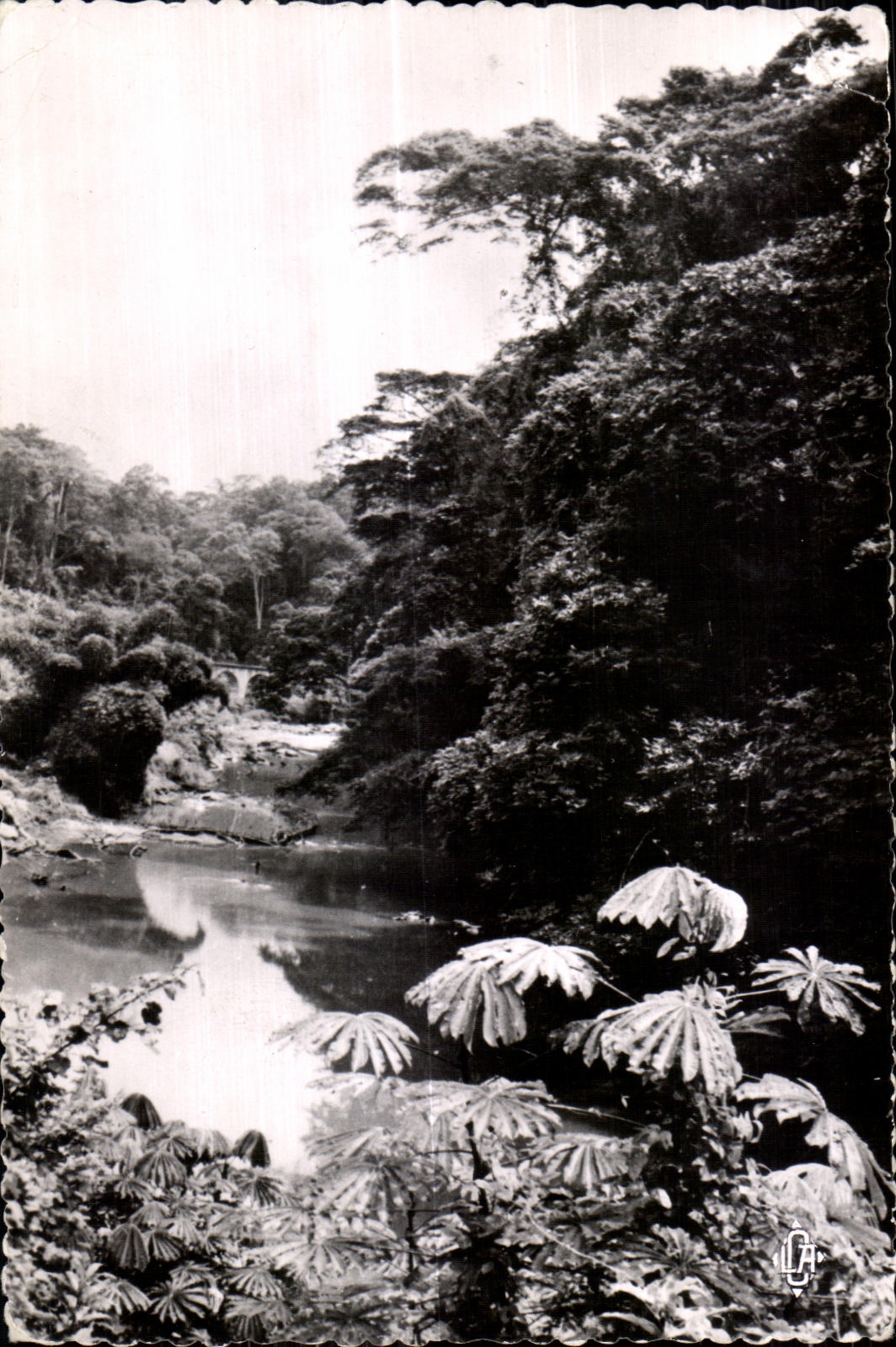 Paysage du Mayombe — parcoure du chemin de fer Congo-Océan — éditeur LA CARTE AFRICAINE, n°36