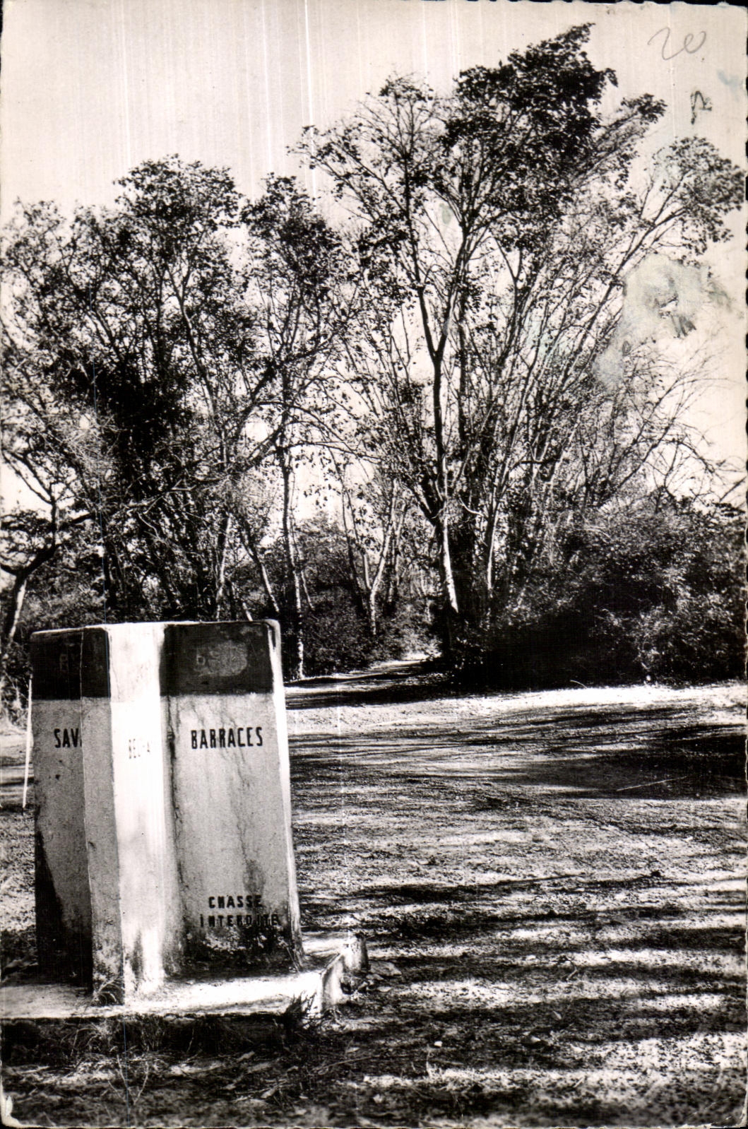 CPA Ouagadougou Au Bois de Boulogne pres du Pont des Soupirs