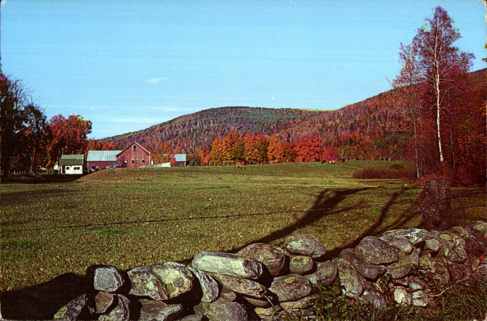 CPA Vermont 