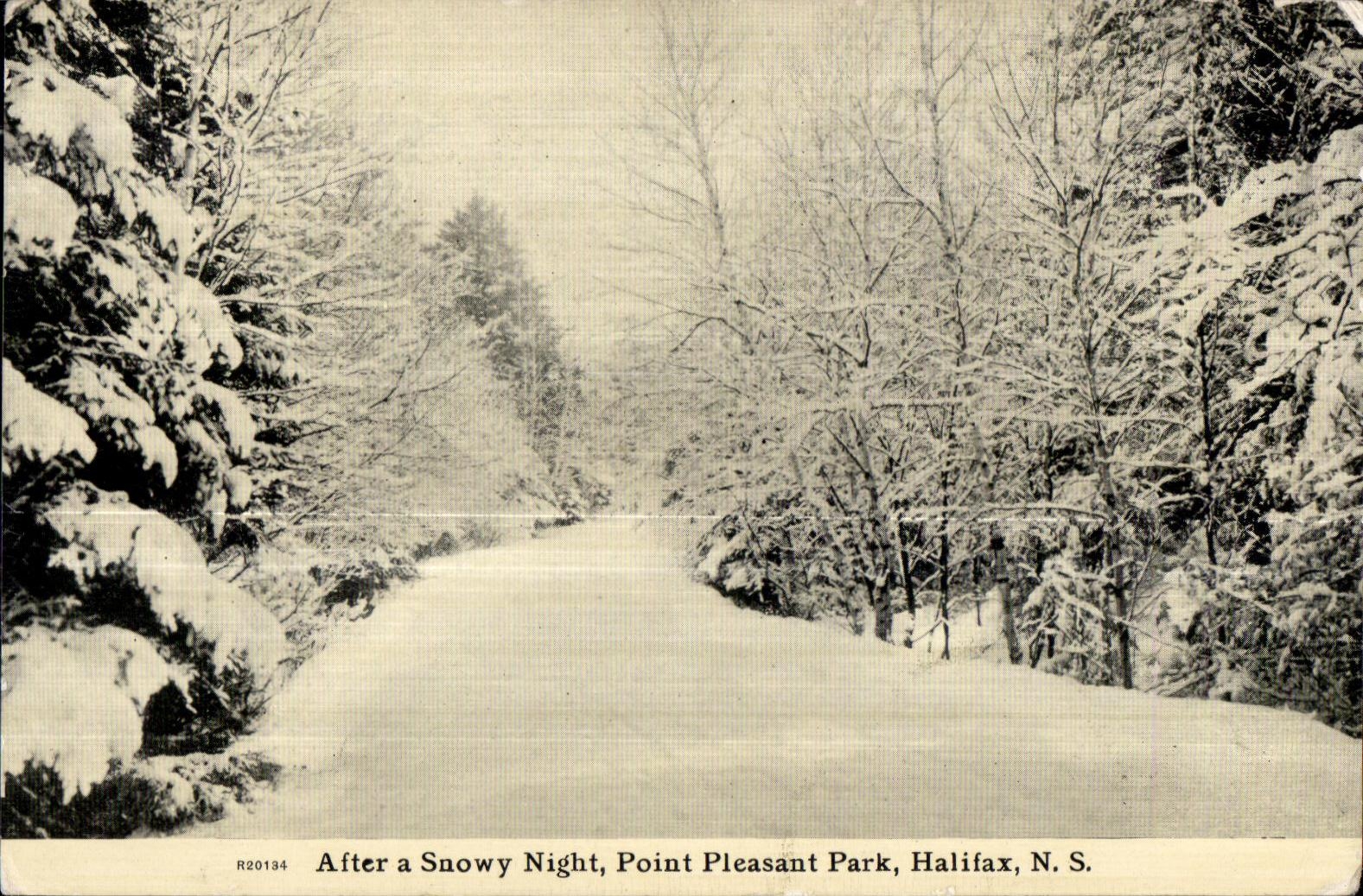 CPA After a Snowy Point Pleasant Park Halifax