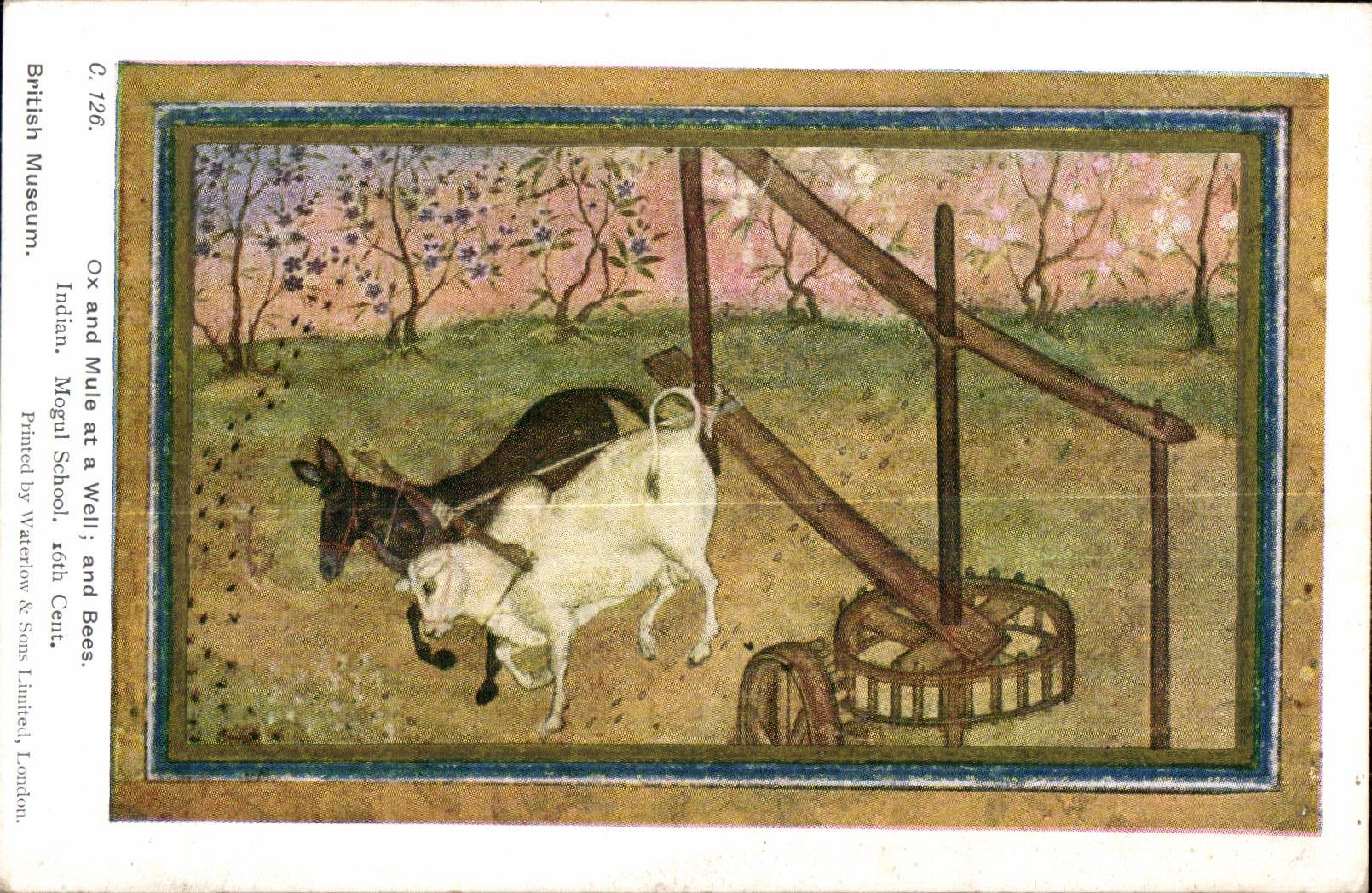 CPA Ox and Mule at a Well and Bees Indian Mogul School roth Cent British Museum London