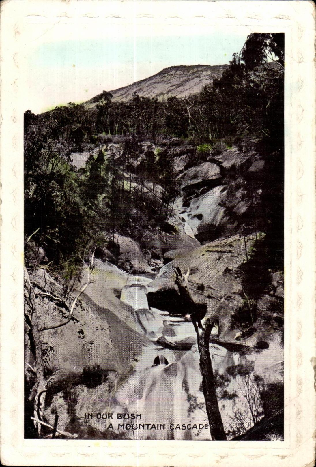 CPA Im Our Bush A Mountain Cascade Australie Australia 