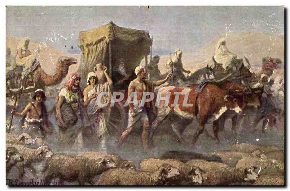 CPA L Histoire de la Sainte Egypt Egypt Egypte Boeufs 