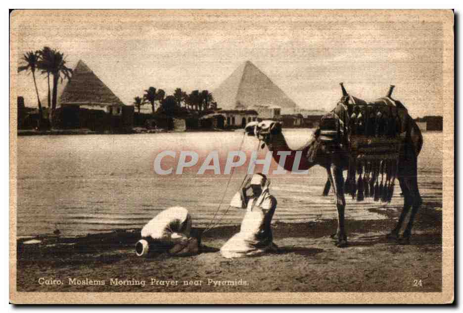 CPA Cairo Moslems Morning Prayer near Pyramides Cairo La Priere du matin pres des Pyramides Chameau Camel 