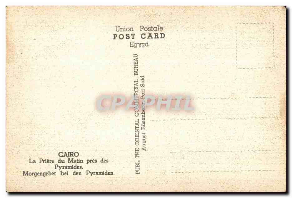 CPA Cairo Moslems Morning Prayer near Pyramides Cairo La Priere du matin pres des Pyramides Chameau Camel  — Rückseite