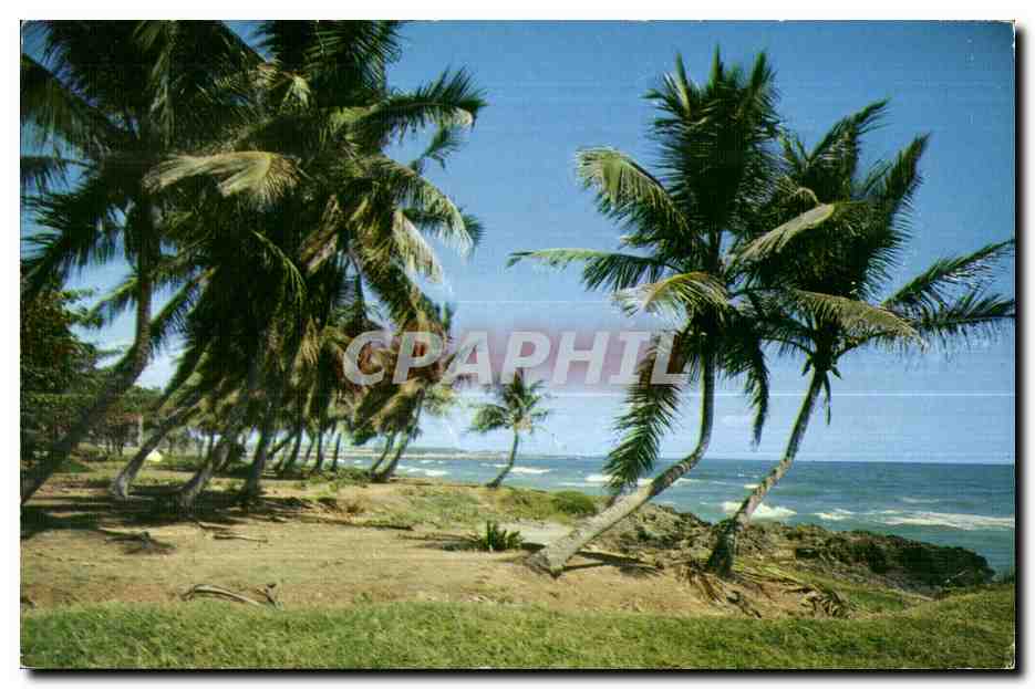 CPA Greetings From The Dominican Republic A Beautiful view of the 