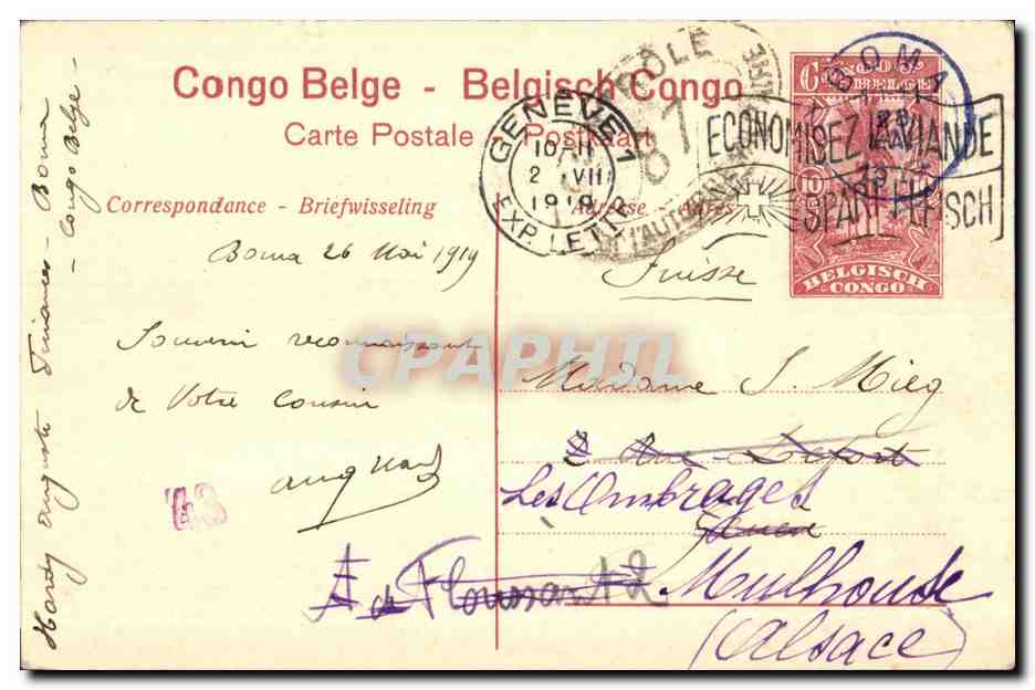 CPA Congo Belge Belgisch Congo Dragonnier pres de Mopolengo Drakenboom nabij Mopolenge — Rückseite