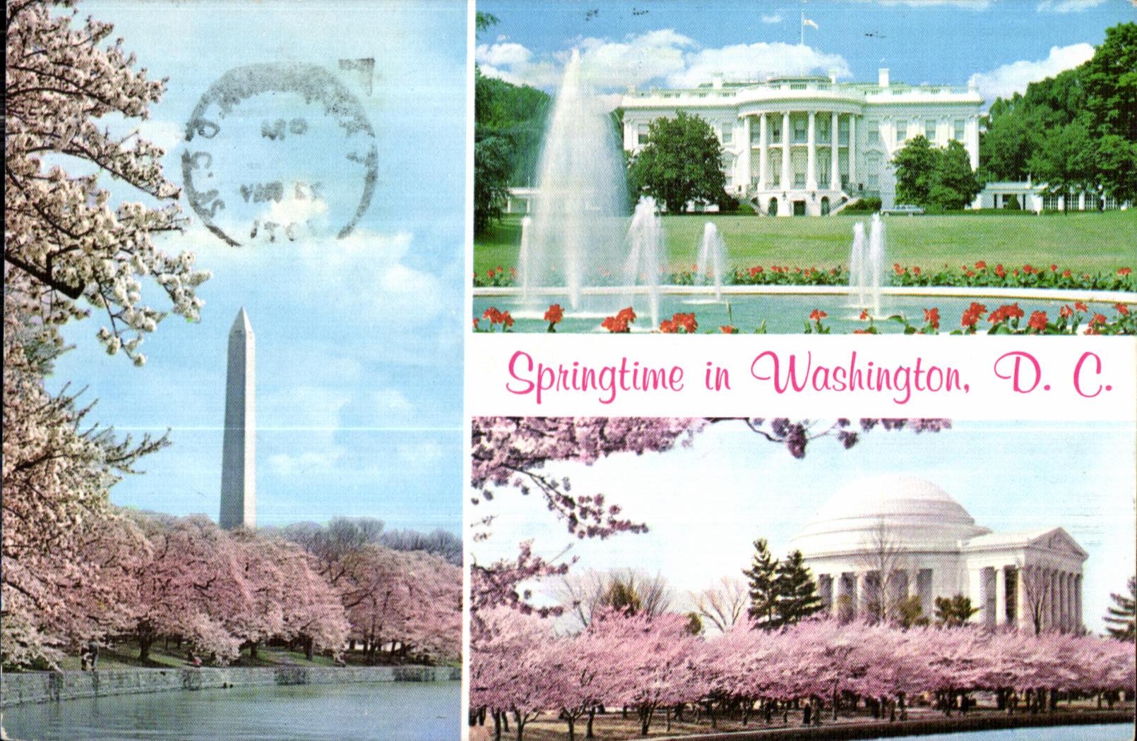 CPA Springtime In Washington Shown are The Washington Monument White House