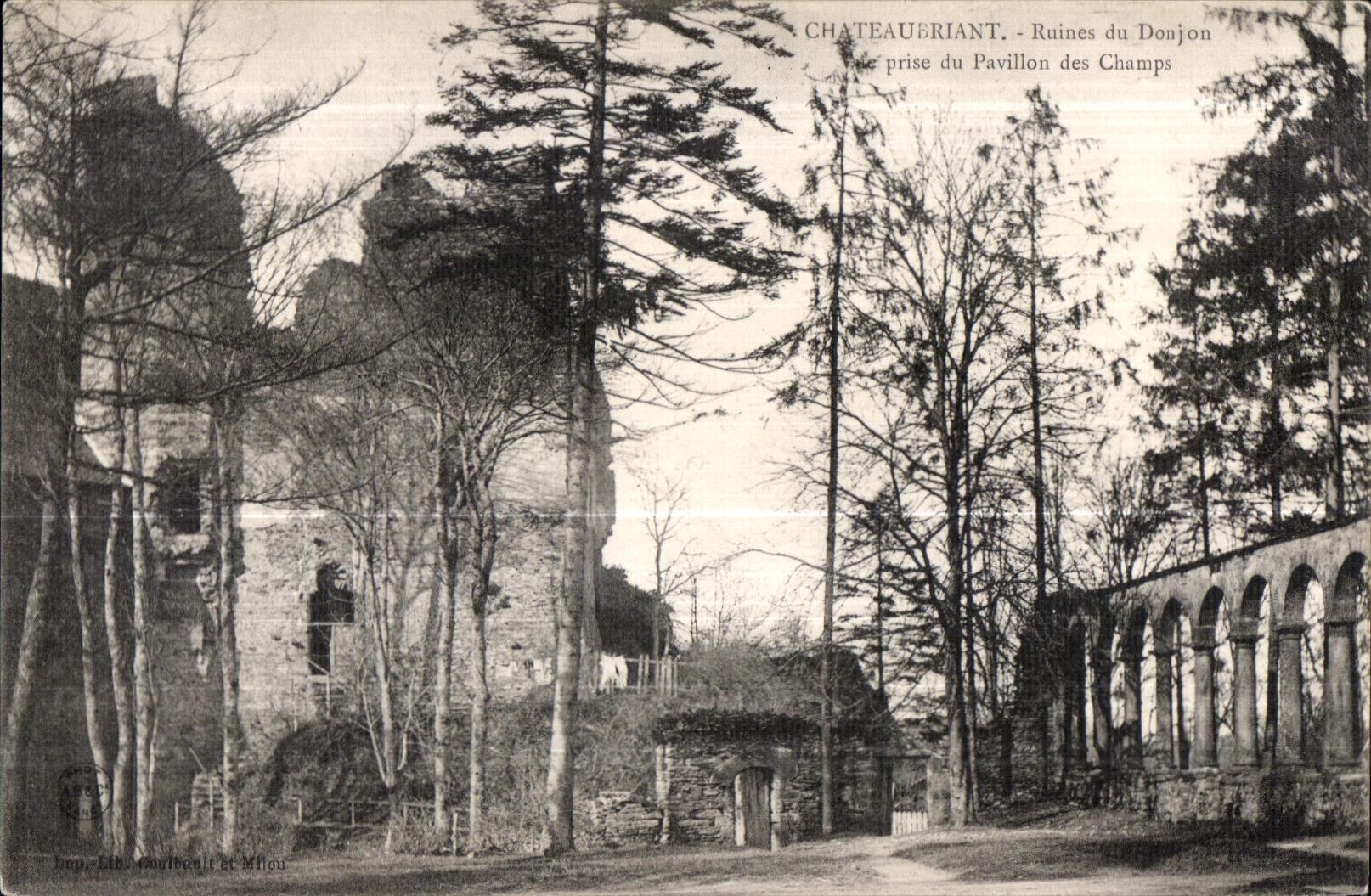 Chateaubriant - Ruines du Donjon Vue prise du pavillon aux champs - CPA 
