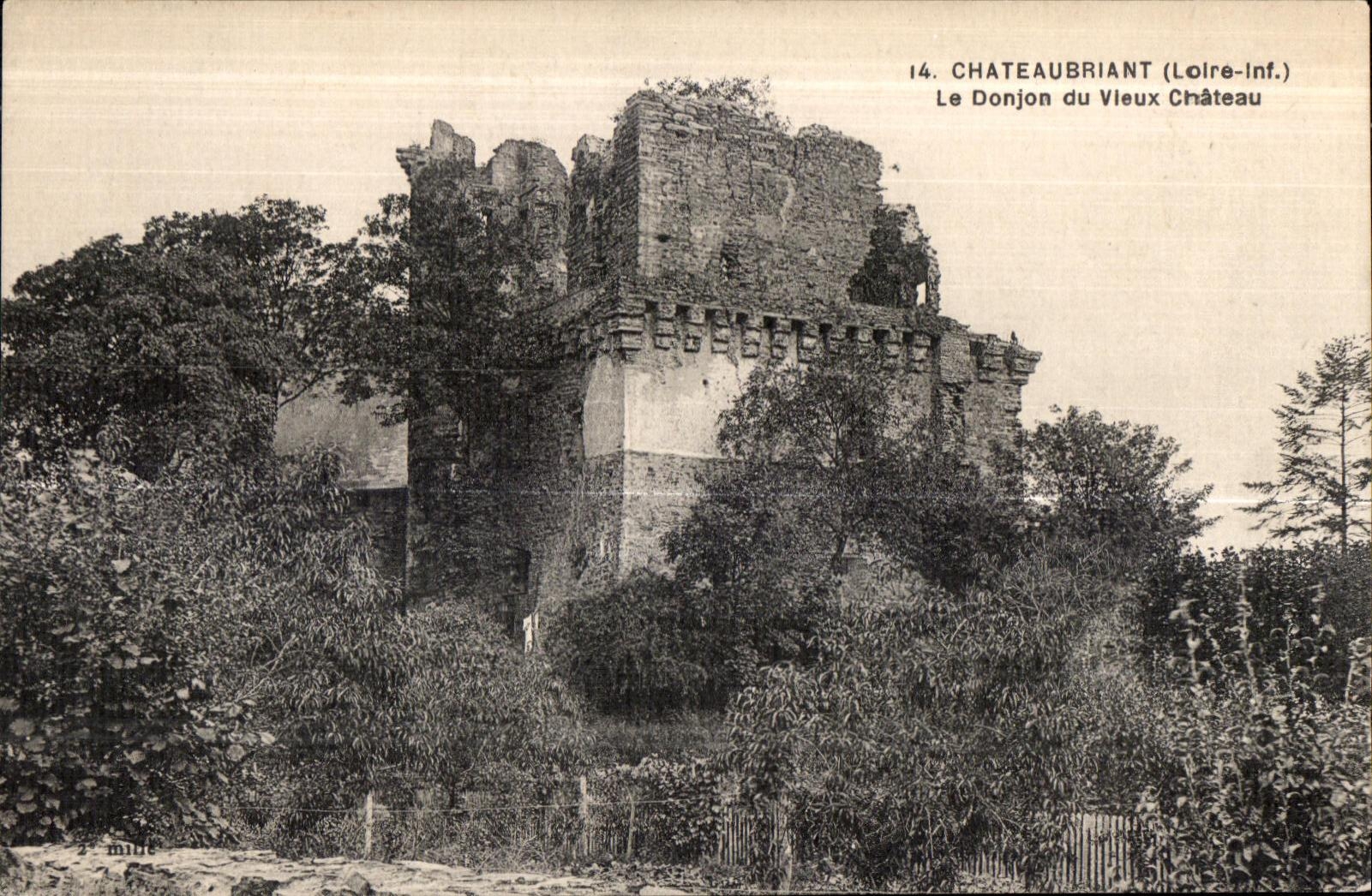 Chateaubriant - Le Donjon du Vieux Chateau - CPA 