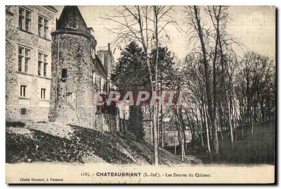 Chateaubriant - Les Douves du Chateau - CPA 