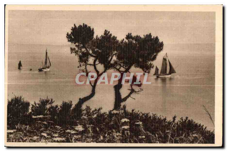 CPA Bretagne Douarnenez (Finistere) Sortie de Thonniers
