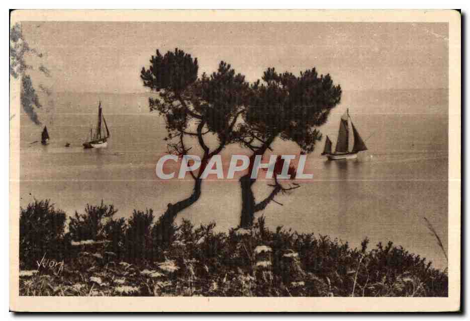 CPA Bretangne Douarnenez (Finistere) Sortie de Thonniers