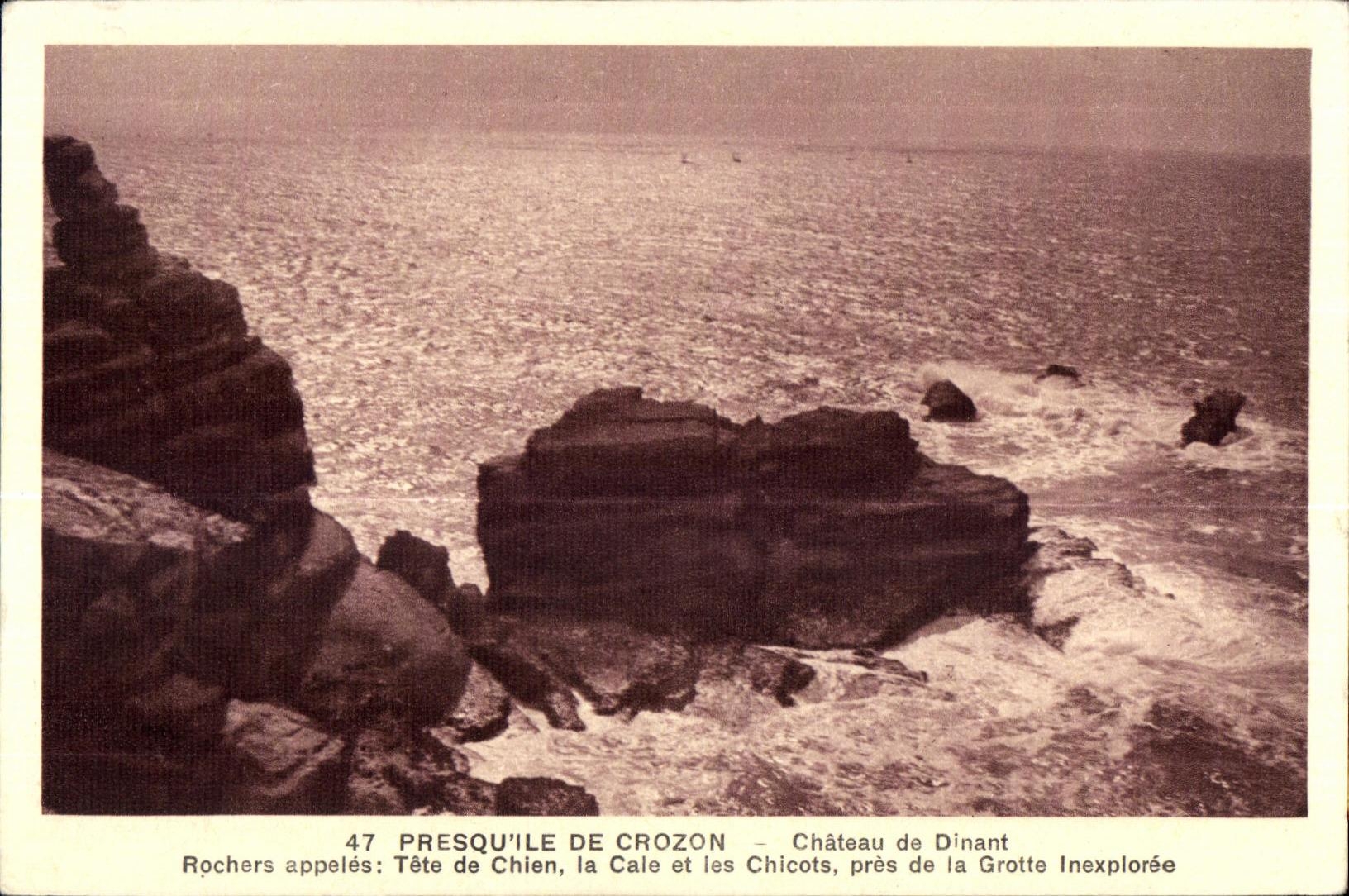 CPA Presqu ile De Crozon Chateau de Dinant