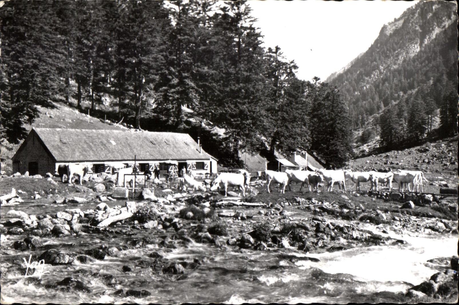 Vallée de Lébouroy — La Frérie — Éditeur Y. P. (Yvon P.)