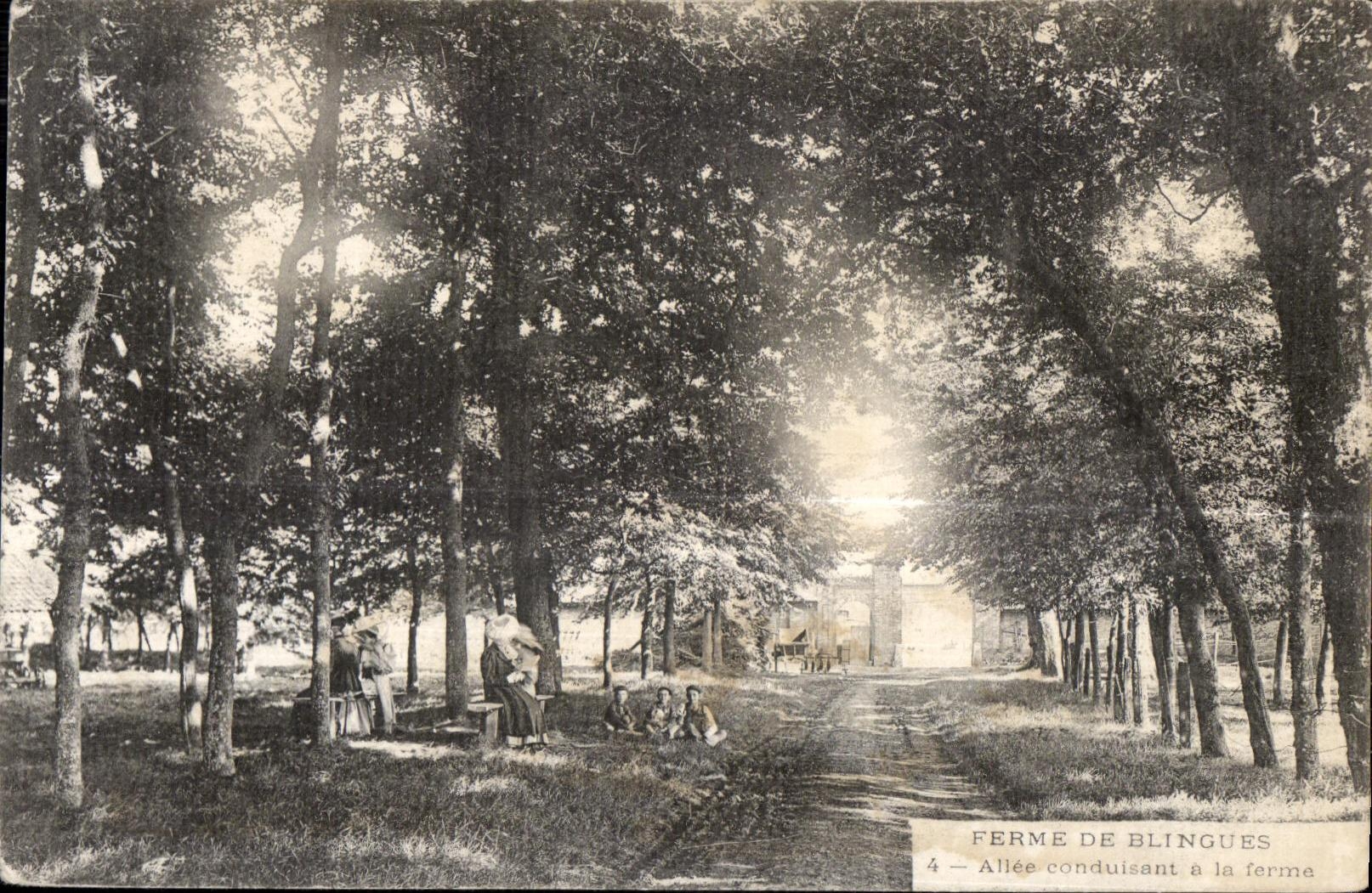 CPA Ferme De Blingues Allee conduisant a la ferme