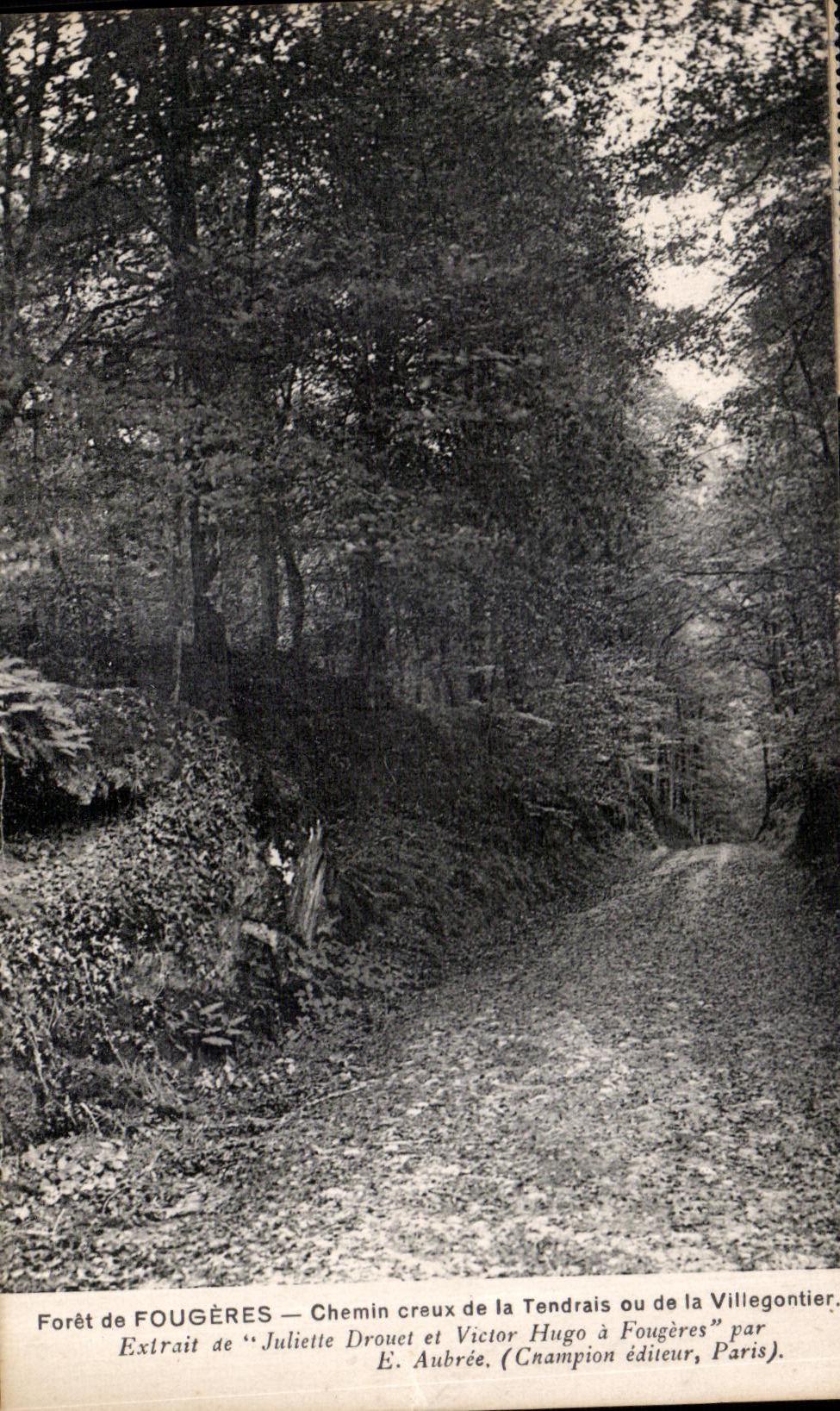 Forêt de Fougères — Chemin creux de la Tendrais ou de la Villegontier — Extrait de « Juliette Drouet et Victor Hugo à Fougères » par E. Aubrée, Champion éditeur, Paris