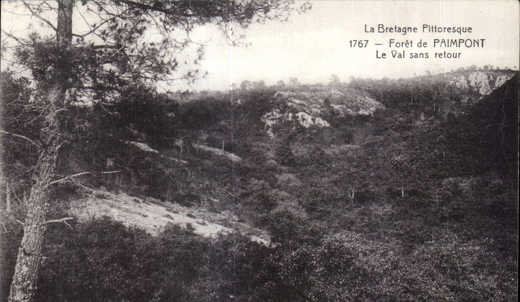 La Bretagne Pittoresque — Forêt de Paimpont — éditeur non visible