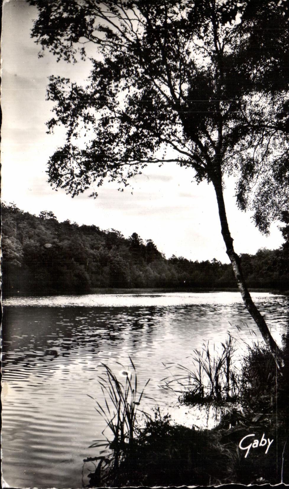 CPA Environs de Plelan le Grand L Etang des Forges de Paimpont