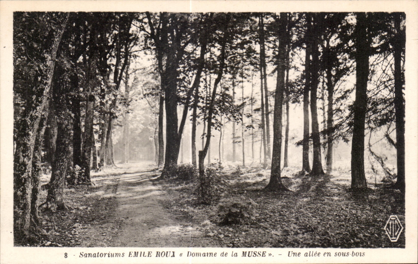 CPA Sanatoriums Emile Roux Domaine de la Musse Une allee en sous bois