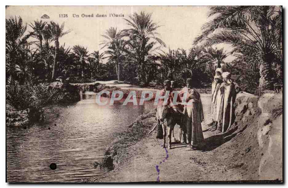CPA Afrique du Nord Un Oued dans l Oasis Ane Donkey