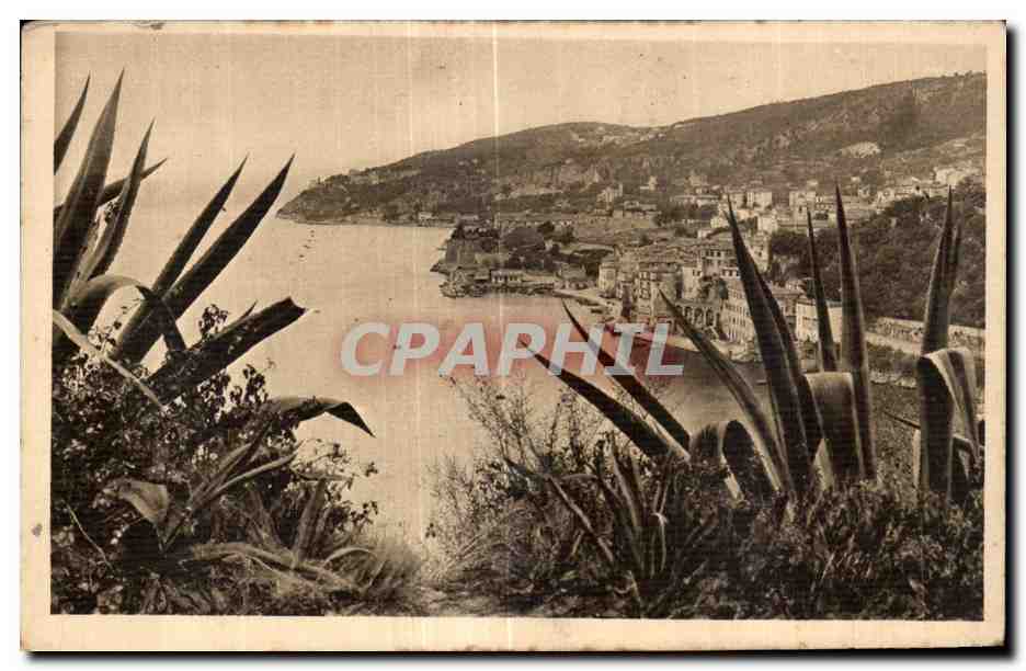Vue de la côte — paysage côtier avec agaves — éditeur non visible