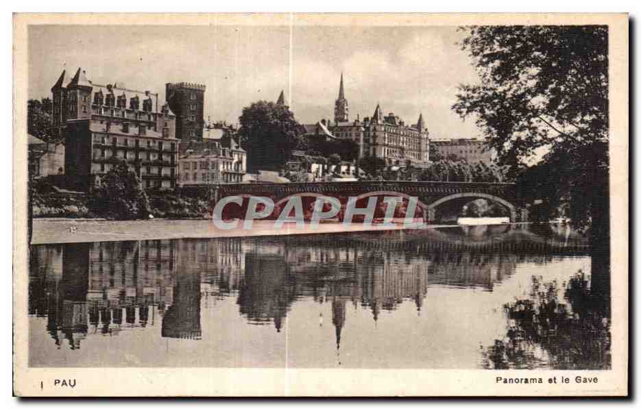 CPA Pau Panorama et le Gave