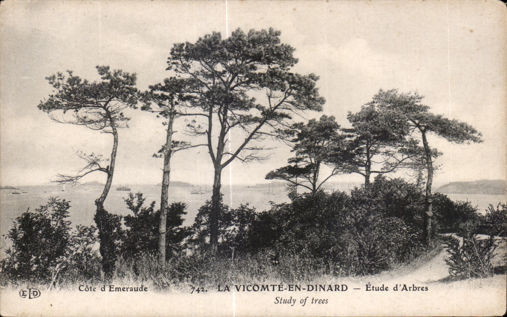 La Vicomté-en-Dinard — Étude d'Arbres — Éditeur E.P.D. n°742