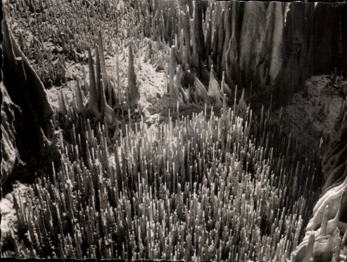 Monaco - Les Grottes de l'Observatoire dans le Jardin Exotique - Tuyaux de pipe