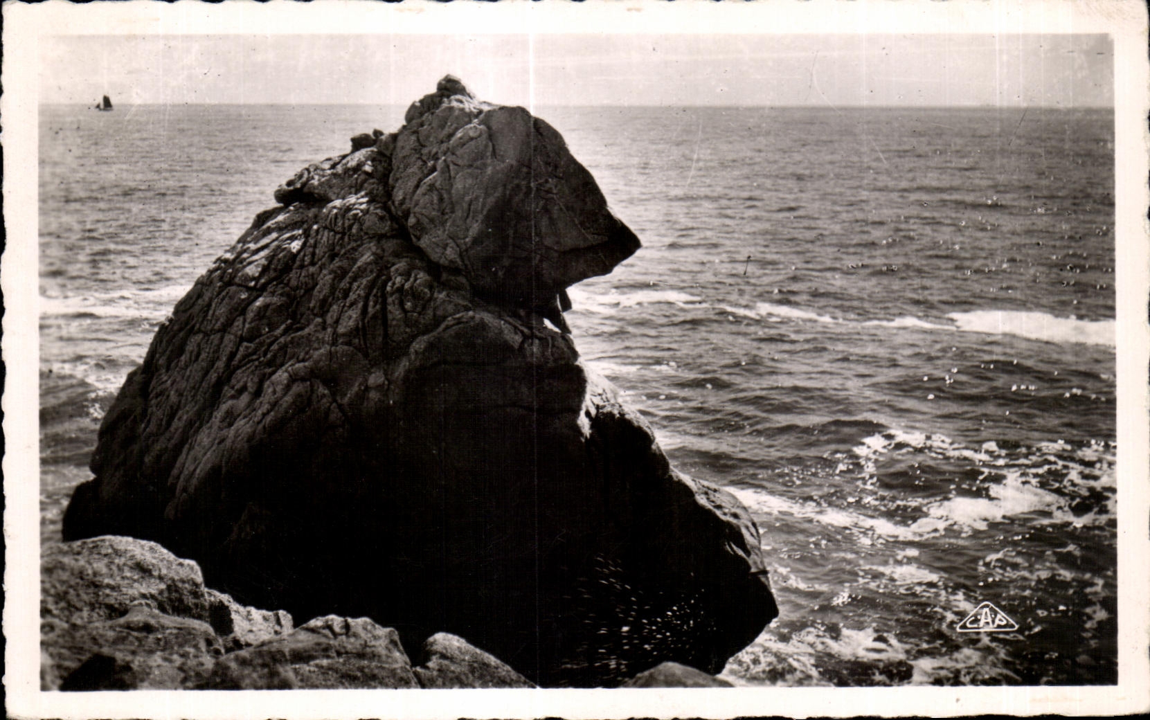 CPA La Grande Cote Etude de Rochers L Ours Polaire Polar Bear