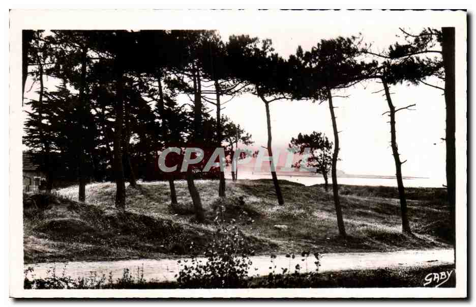 CPA Pornichet Les Pins et Points vers Sainte Margurite