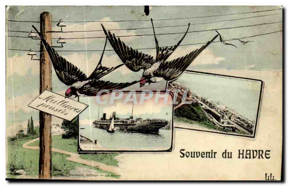 CPA Souvenir du Havre Hirondelle Bateau 