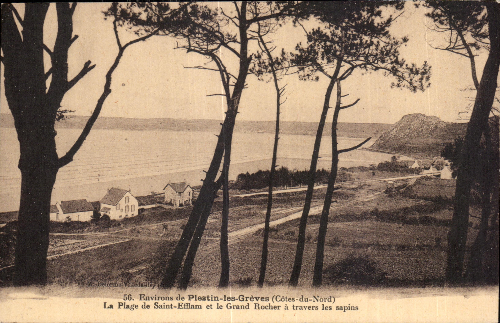 Environs de Plestin-les-Grèves (Côtes-du-Nord) — La Plage de Saint-Efflam et le Grand Rocher à travers les sapins — Éditeur: Delorme-Villedauley, n°56