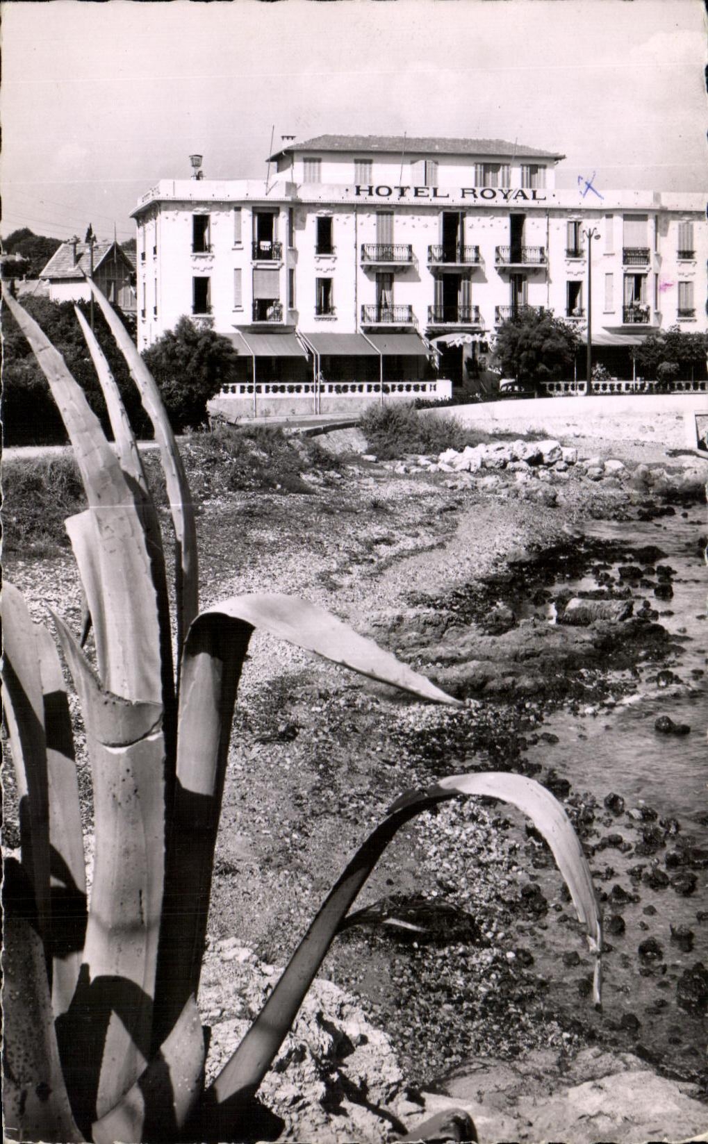 CPA Antibes Bord de mer et Hotel Royal