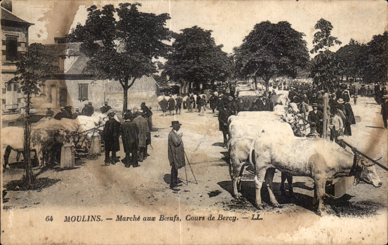 CPA Moulins Marche aux Beoufs Cours de bercy