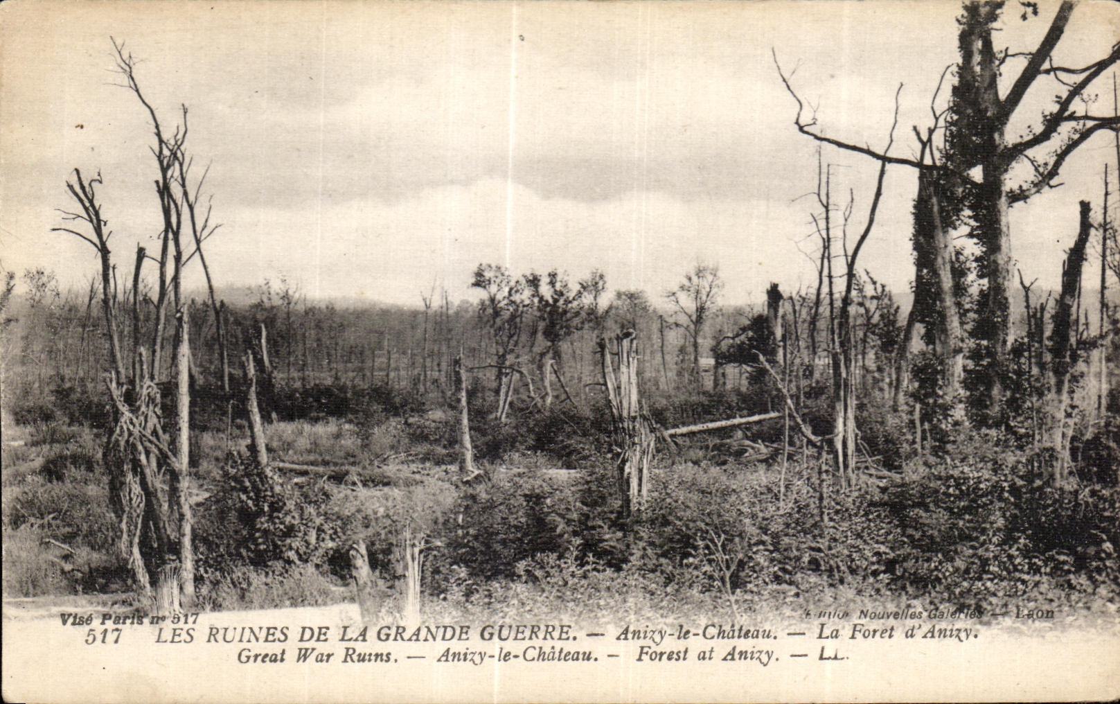Ruinen des Großen Krieges — Anixy-le-Château — Forêt d'Anixy — Visé Paris n°517