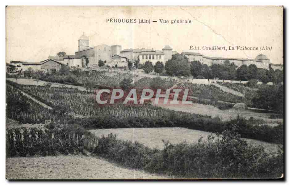 CPA Perouges Ain Vue Generale