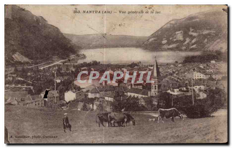 CPA Nantua Ain Vue generale et le Lac