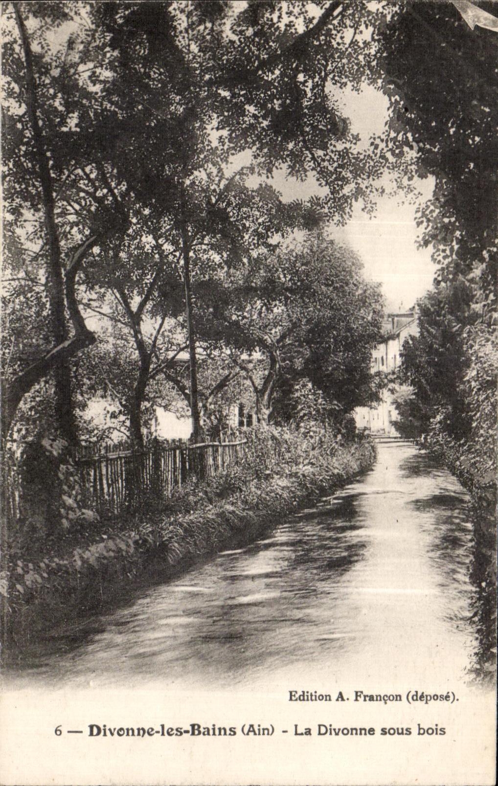 CPA Divenne les Bains Ain La Divonne sous bois