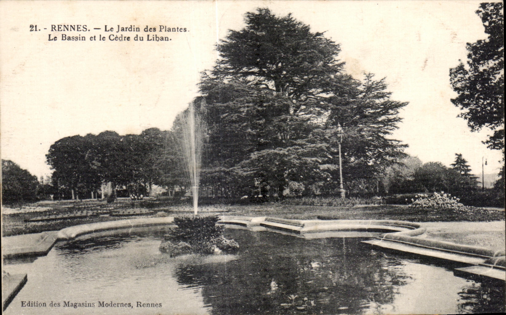 Rennes - Le Jardin des Plantes. Le Bassin et le Cèdre du Liban — Edition des Magasins Modernes, Rennes