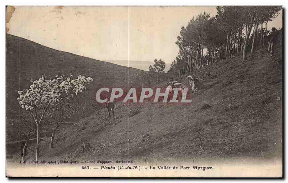 La Vallée de Port Morguer — Plouha (C.-du-N.) — J.-B. Barat, éditeur, Saint-Ouen — Cliché d'appareil Mackensteine — n° 663