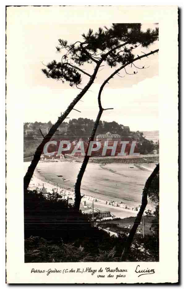 Perros-Guirec (C. du N.), Plage de Gouraou — vue des pins — Lucien