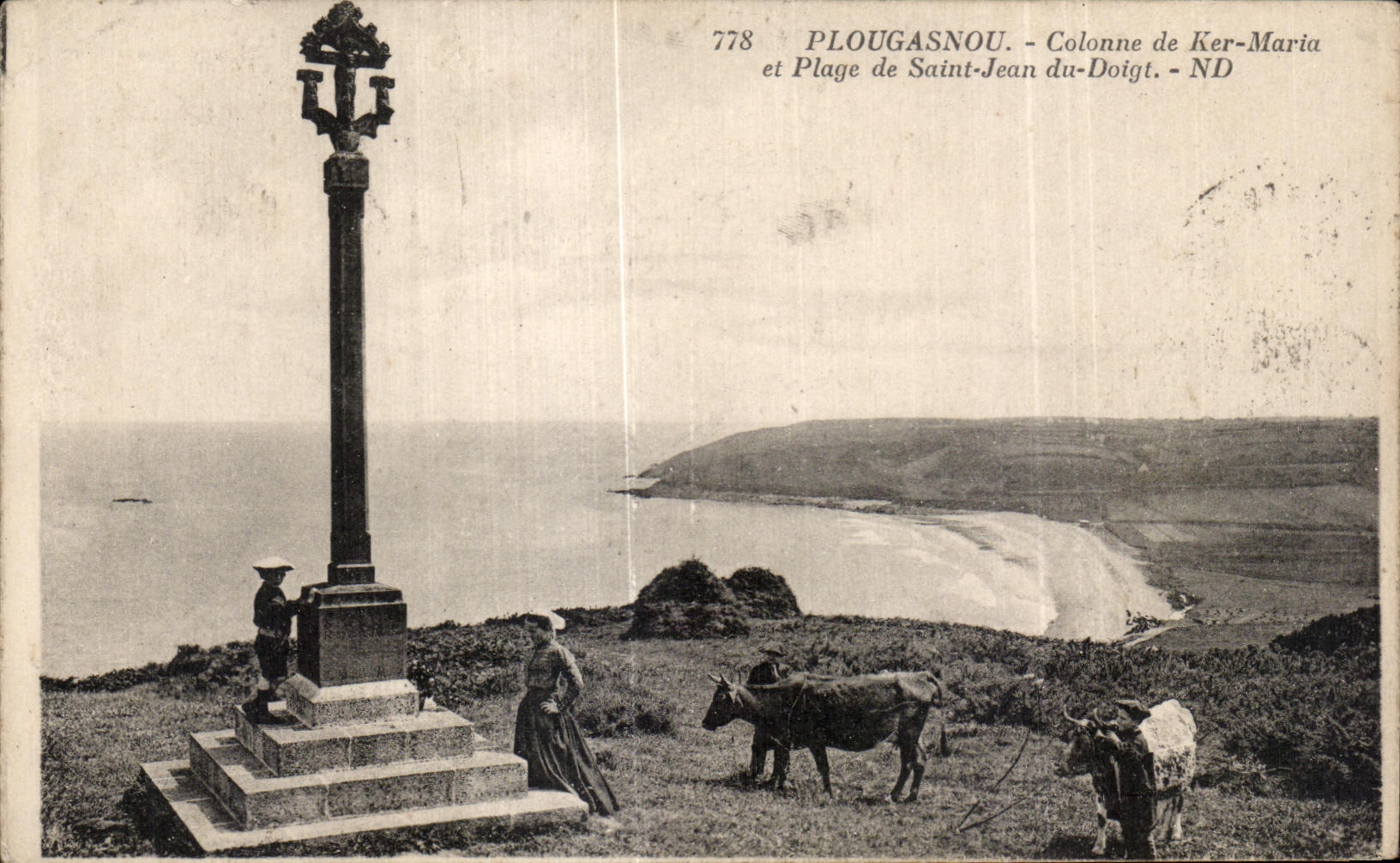 CPA Plougasnou Colonne de Ker Maria et Plage de Saint Jean du Doigt Vaches 